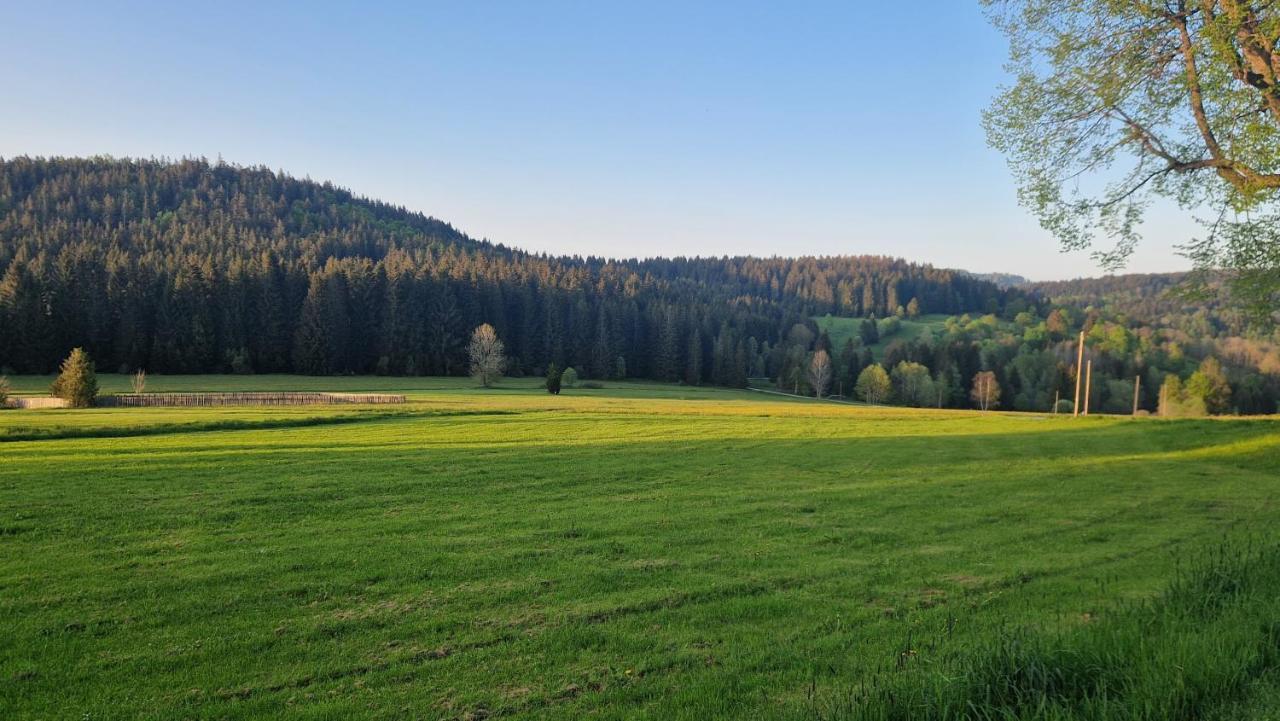 Two Apartaments Almberg - Mitterdorf-Mitterfirmiansreut Exterior photo