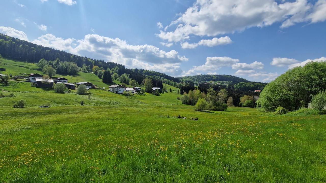 Two Apartaments Almberg - Mitterdorf-Mitterfirmiansreut Exterior photo