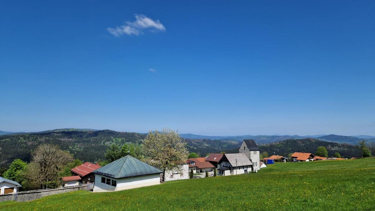 Two Apartaments Almberg - Mitterdorf-Mitterfirmiansreut Exterior photo